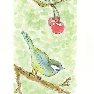 Mésange discrète