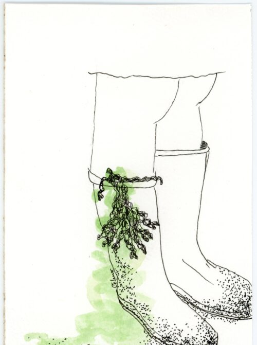 dessin bottes enfant et algues bord de mer