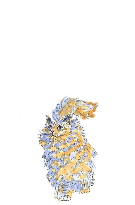 Chat multicolore aquarelle