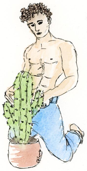 aquarelle homme torse nu avec un cactus devant lui