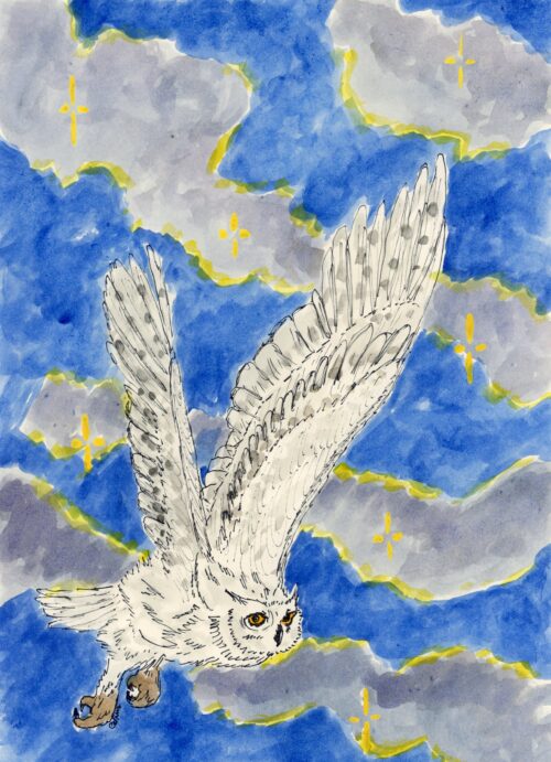 Hibou blanc volant dans le ciel bleu aquarelle