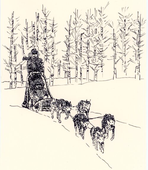 Dessin chiens de traineau noir et blanc