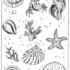 mix de la mer