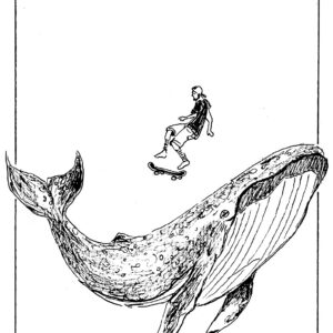 skate baleine