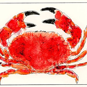 crabe