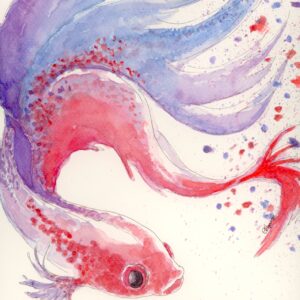 poisson