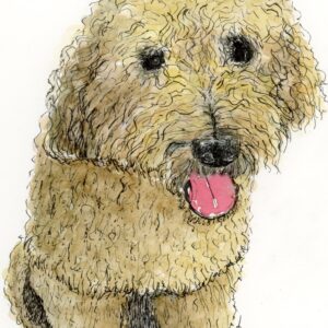 chien