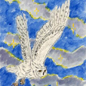 hibou